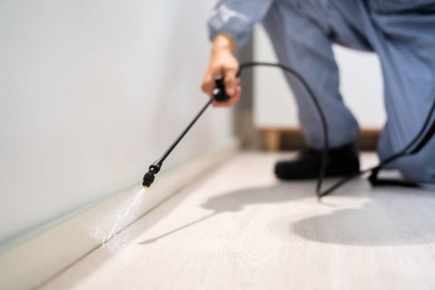 Licensed Rodent Control service in Kalispell, MT - Nex Pest Control