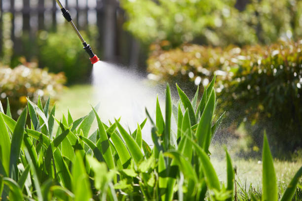 24/7 Emergency Rodent Control experts in Kalispell, MT
