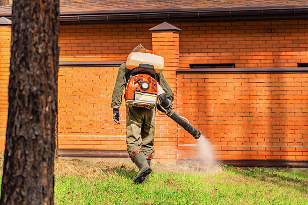 Top rated local Rodent Control specialists in Kalispell, MT
